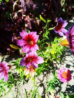 2019-07-12_18-08-49_142.jpg