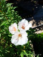 2019-07-12_18-08-45_833.jpg