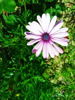 2019-07-12_18-08-42_508.jpg