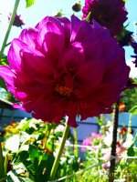 2019-07-12_18-08-35_969.jpg