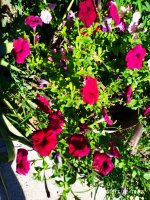2019-07-12_18-07-02_904.jpg