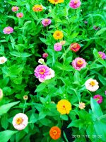 2019-07-12_23-49-28_391.jpg
