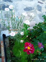 2019-07-12_23-49-24_700.jpg