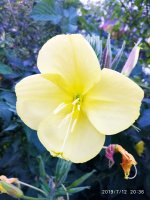 2019-07-12_23-49-17_877.jpg