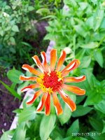2019-07-12_23-49-14_893.jpg