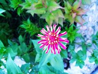 2019-07-12_23-49-11_548.jpg