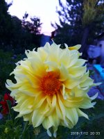 2019-07-12_23-49-04_816.jpg