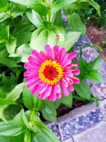 2019-07-12_23-49-01_458.jpg