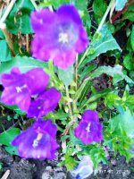 2019-07-12_23-48-54_461.jpg