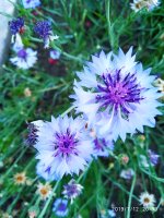 2019-07-12_23-48-48_394.jpg