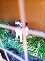 2019-07-13_13-49-06_365.jpg