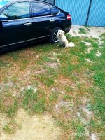 IMG-20190713-WA0006.jpg