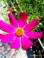 IMG-20190713-WA0016.jpg
