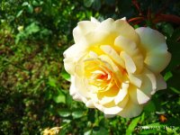 IMG-20190713-WA0015.jpg