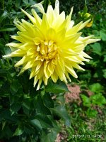 IMG-20190713-WA0011.jpg
