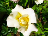 IMG-20190713-WA0009.jpg