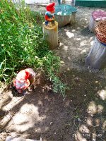 2019-07-14_14-02-33_910.jpg 2019-07-14_14-02-33_910.jpg
