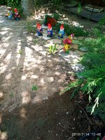 2019-07-14_14-02-30_412.jpg 2019-07-14_14-02-30_412.jpg