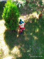 2019-07-14_15-35-54_610.jpg 2019-07-14_15-35-54_610.jpg