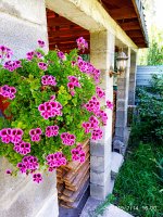2019-07-14_17-19-22_122.jpg 2019-07-14_17-19-22_122.jpg