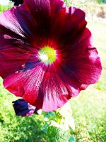 2019-07-14_17-19-18_990.jpg 2019-07-14_17-19-18_990.jpg