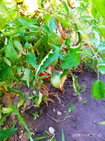 2019-07-14_18-57-38_272.jpg 2019-07-14_18-57-38_272.jpg