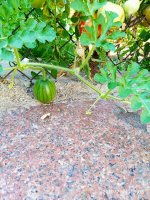 2019-07-14_18-57-34_864.jpg 2019-07-14_18-57-34_864.jpg