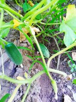 2019-07-14_19-06-00_929.jpg 2019-07-14_19-06-00_929.jpg