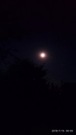 2019-07-15_01-00-01_459.jpg 2019-07-15_01-00-01_459.jpg
