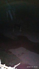 2019-07-15_01-57-09_368.jpg