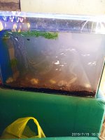 2019-07-15_16-56-33_364.jpg
