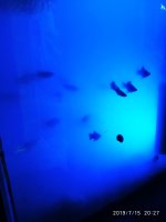 2019-07-16_00-32-00_440.jpg