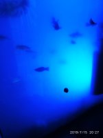 2019-07-16_00-31-54_095.jpg