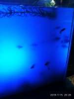 2019-07-16_00-31-50_956.jpg