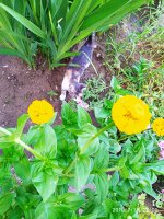2019-07-15_23-53-12_787.jpg