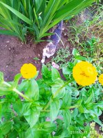 2019-07-15_23-53-09_750.jpg