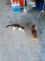 2019-07-15_23-52-57_453.jpg