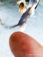 2019-07-15_23-53-00_721.jpg