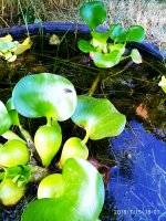 2019-07-16_00-58-12_167.jpg