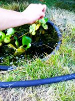 2019-07-16_01-06-46_183.jpg
