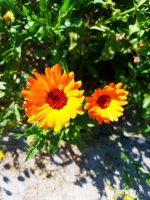 2019-07-16_01-13-49_769.jpg