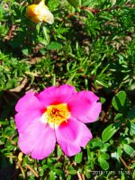 2019-07-16_01-13-43_293.jpg