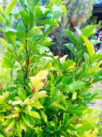 2019-07-17_02-44-28_964.jpg