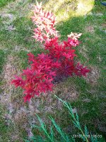 2019-07-17_02-44-21_749.jpg
