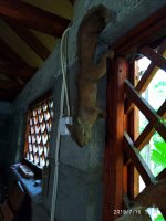 2019-07-17_02-48-00_370.jpg