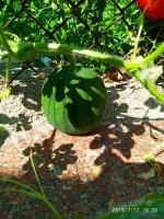 2019-07-17_16-59-11_758.jpg