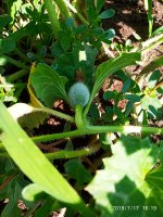 2019-07-17_16-28-04_329.jpg