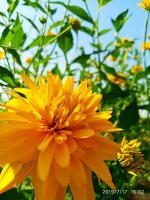 2019-07-17_16-32-06_220.jpg