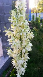 2019-07-18_01-47-55_684.jpg