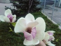 2019-07-18_01-47-56_572.jpg